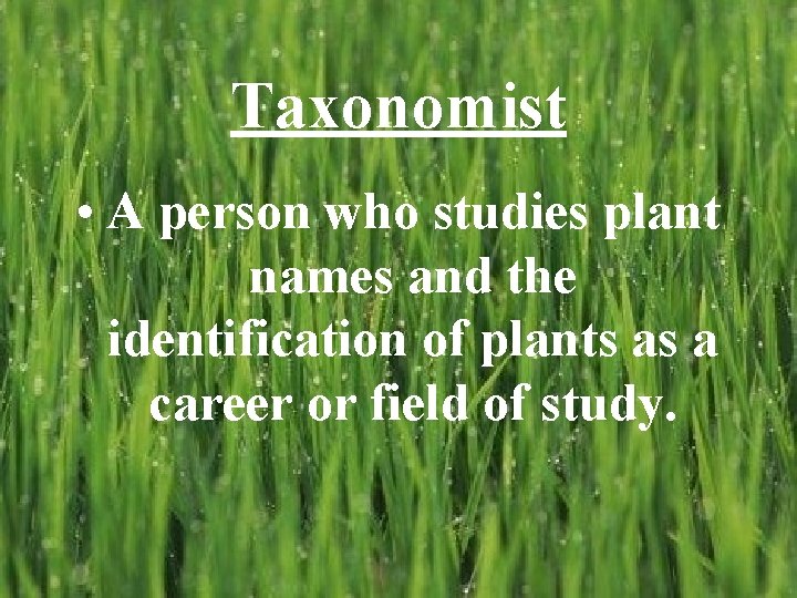 Taxonomist • A person who studies plant names and the identification of plants as