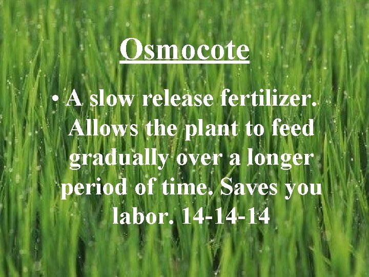 Osmocote • A slow release fertilizer. Allows the plant to feed gradually over a