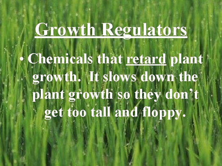 Growth Regulators • Chemicals that retard plant growth. It slows down the plant growth