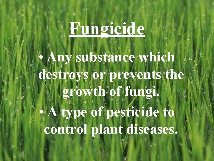 Fungicide • Any substance which destroys or prevents the growth of fungi. • A