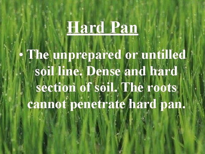 Hard Pan • The unprepared or untilled soil line. Dense and hard section of