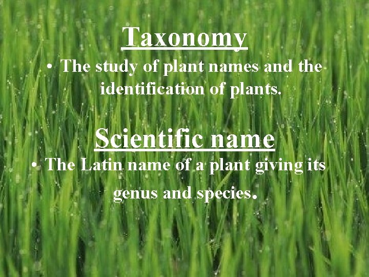 Taxonomy • The study of plant names and the identification of plants. Scientific name