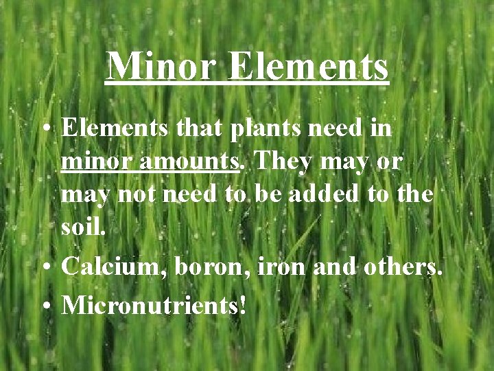 Minor Elements • Elements that plants need in minor amounts. They may or may