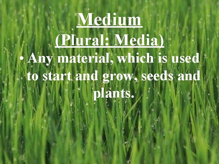 Medium (Plural: Media) • Any material, which is used to start and grow, seeds