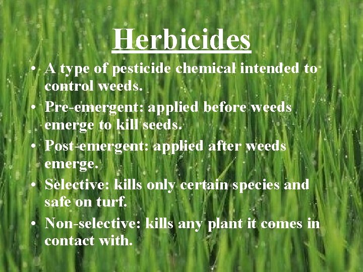 Herbicides • A type of pesticide chemical intended to control weeds. • Pre-emergent: applied