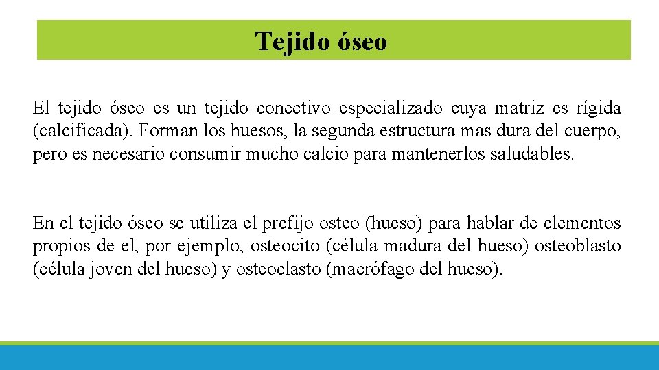 Tejido óseo El tejido óseo es un tejido conectivo especializado cuya matriz es rígida