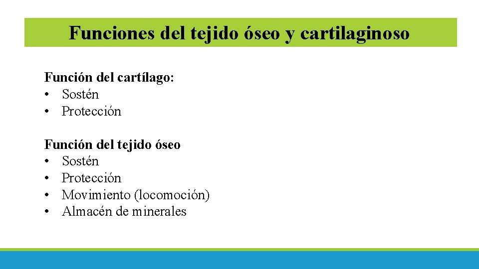 Funciones del tejido óseo y cartilaginoso Función del cartílago: • Sostén • Protección Función