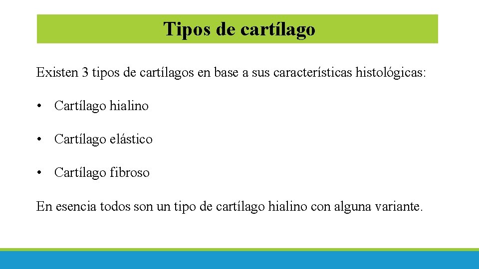 Tipos de cartílago Existen 3 tipos de cartílagos en base a sus características histológicas: