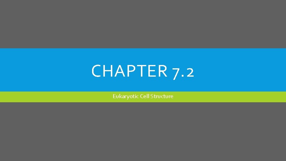 CHAPTER 7. 2 Eukaryotic Cell Structure 