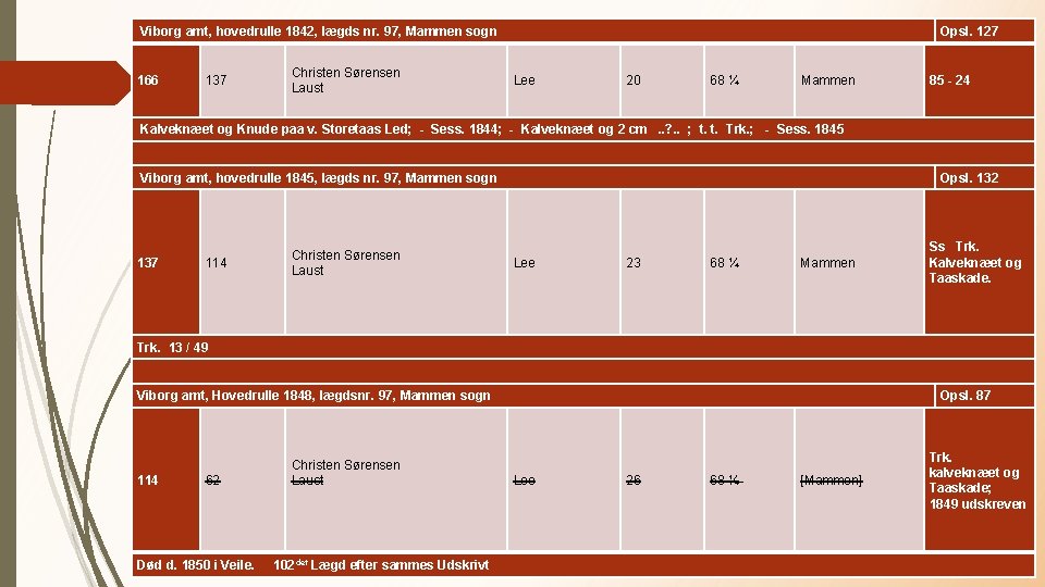 Viborg amt, hovedrulle 1842, lægds nr. 97, Mammen sogn 166 137 Christen Sørensen Laust