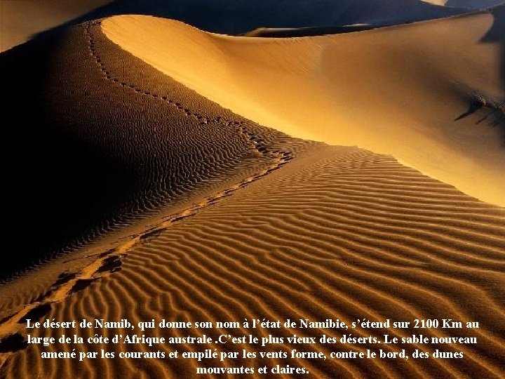 Le désert de Namib, qui donne son nom à l’état de Namibie, s’étend sur