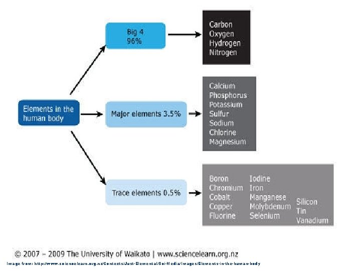 Image from: http: //www. sciencelearn. org. nz/Contexts/Just-Elemental/Sci-Media/Images/Elements-in-the-human-body 