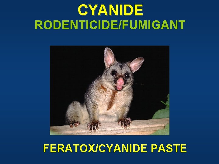 CYANIDE RODENTICIDE/FUMIGANT FERATOX/CYANIDE PASTE 