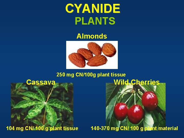 CYANIDE PLANTS Almonds 250 mg CN/100 g plant tissue Cassava 104 mg CN/ 100