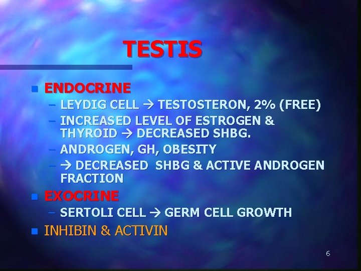 TESTIS n ENDOCRINE – LEYDIG CELL TESTOSTERON, 2% (FREE) – INCREASED LEVEL OF ESTROGEN