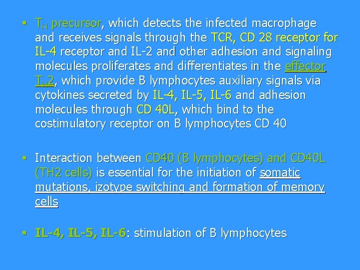 § TH precursor, which detects the infected macrophage and receives signals through the TCR,