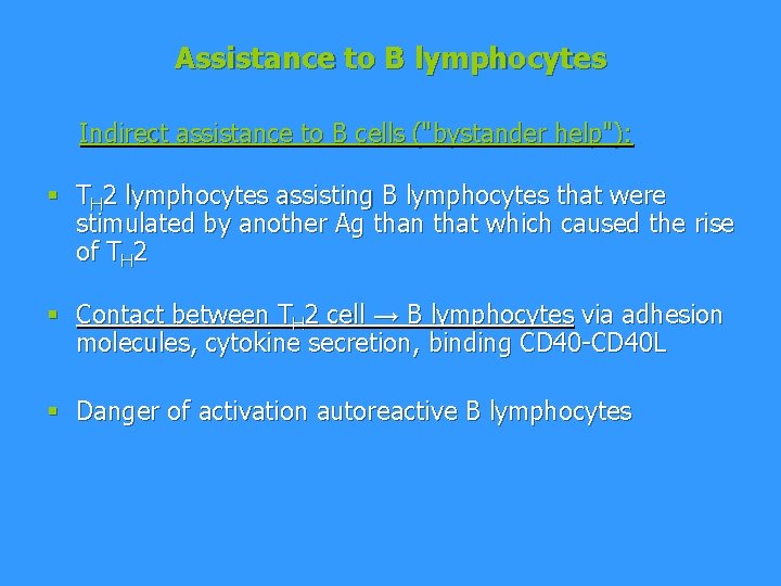 Assistance to B lymphocytes Indirect assistance to B cells ("bystander help"): § TH 2