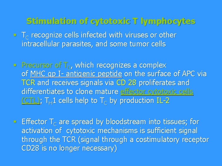 Stimulation of cytotoxic T lymphocytes § TC recognize cells infected with viruses or other