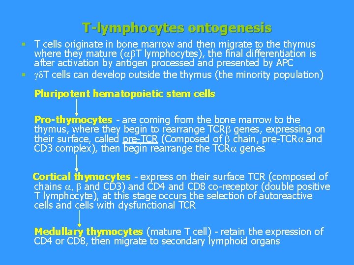 T-lymphocytes ontogenesis § T cells originate in bone marrow and then migrate to the