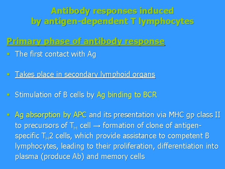 Antibody responses induced by antigen-dependent T lymphocytes Primary phase of antibody response § The