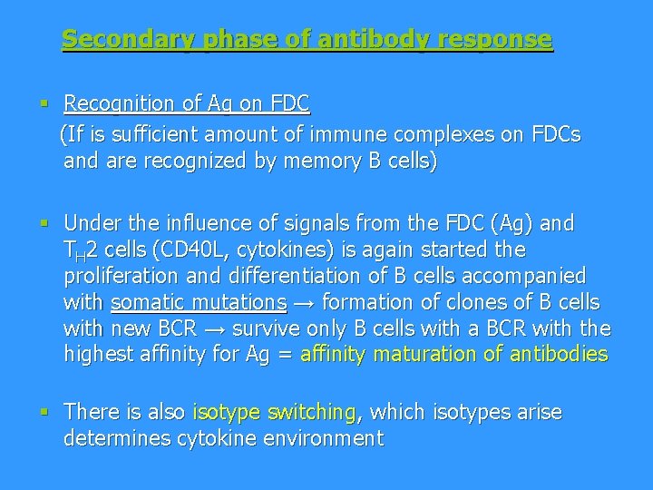 Secondary phase of antibody response § Recognition of Ag on FDC (If is sufficient