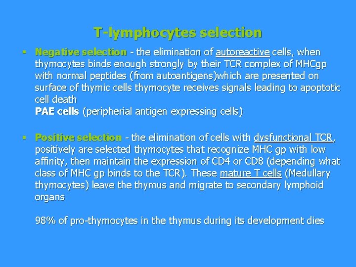 T-lymphocytes selection § Negative selection - the elimination of autoreactive cells, when thymocytes binds