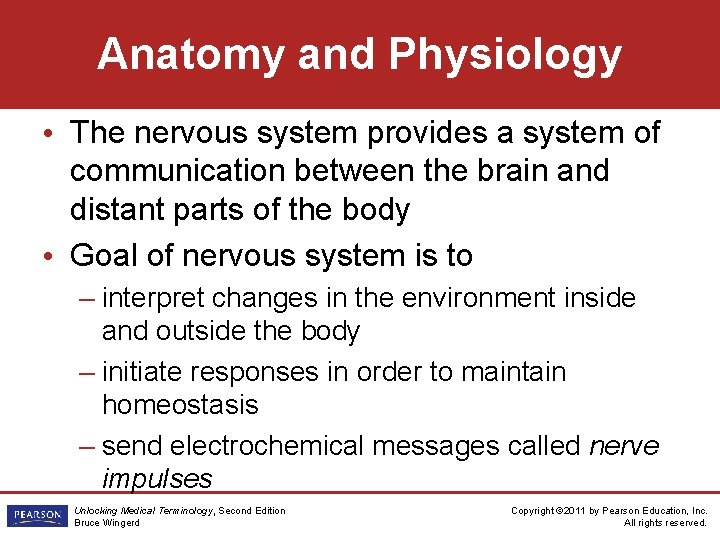 Anatomy and Physiology • The nervous system provides a system of communication between the