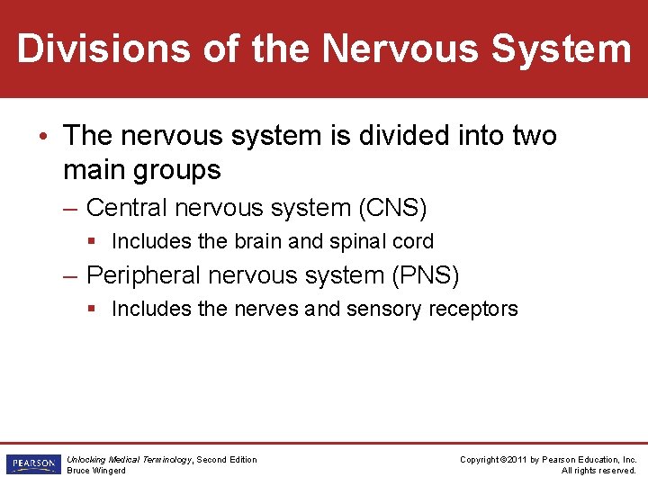 Divisions of the Nervous System • The nervous system is divided into two main