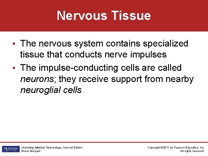 Nervous Tissue • The nervous system contains specialized tissue that conducts nerve impulses •