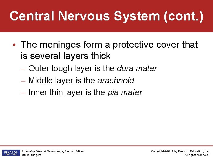 Central Nervous System (cont. ) • The meninges form a protective cover that is