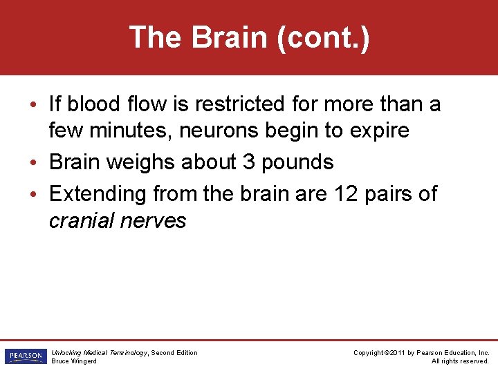 The Brain (cont. ) • If blood flow is restricted for more than a The Brain (cont. ) • If blood flow is restricted for more than a