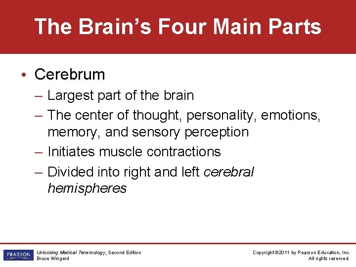 The Brain’s Four Main Parts • Cerebrum – Largest part of the brain – The Brain’s Four Main Parts • Cerebrum – Largest part of the brain –
