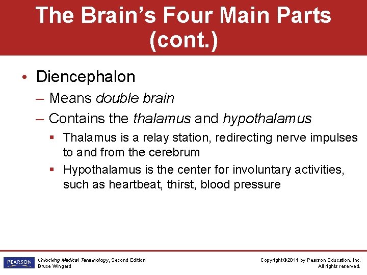 The Brain’s Four Main Parts (cont. ) • Diencephalon – Means double brain –