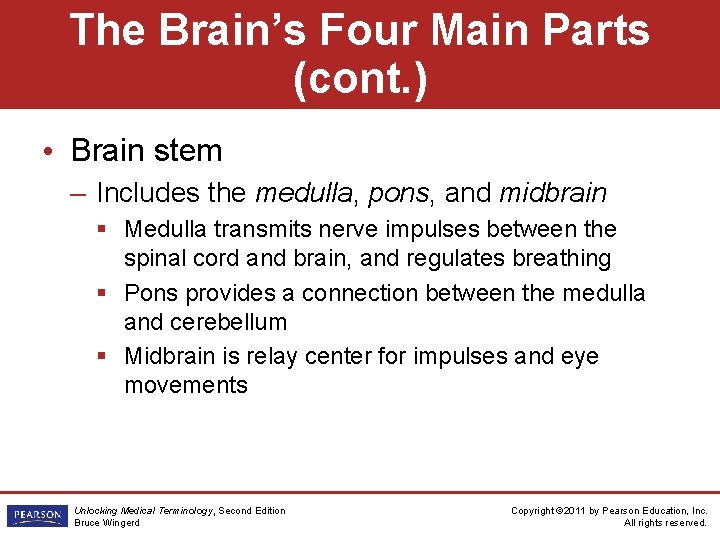 The Brain’s Four Main Parts (cont. ) • Brain stem – Includes the medulla,