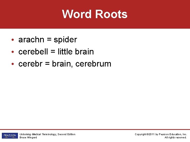 Word Roots • arachn = spider • cerebell = little brain • cerebr = Word Roots • arachn = spider • cerebell = little brain • cerebr =