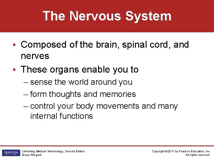 The Nervous System • Composed of the brain, spinal cord, and nerves • These