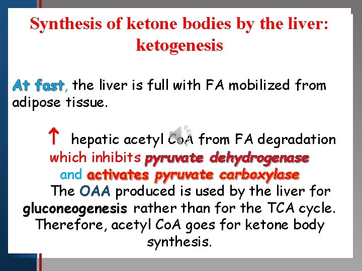 Synthesis of ketone bodies by the liver: Click to edit Master title style ketogenesis