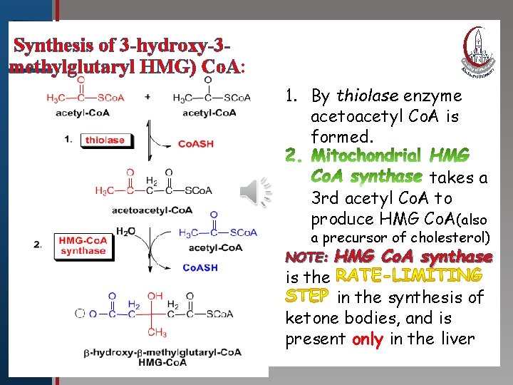 Synthesis of 3 -hydroxy-3 Click to edit. HMG Master title methylglutaryl ) Co. A