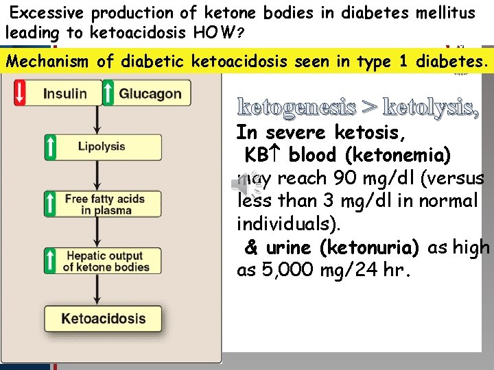 Excessive production of ketone bodies in diabetes mellitus leading to ketoacidosis HOW? Click toofedit