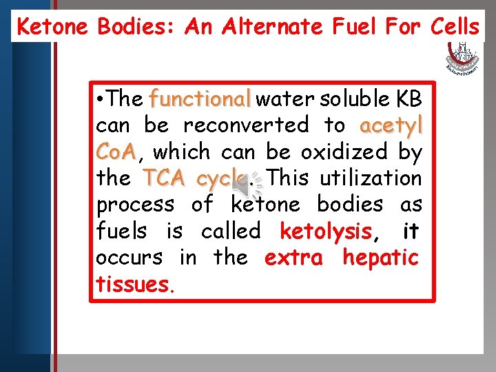 Ketone Bodies: An Alternate Fuel For Cells Click to edit Master title style •