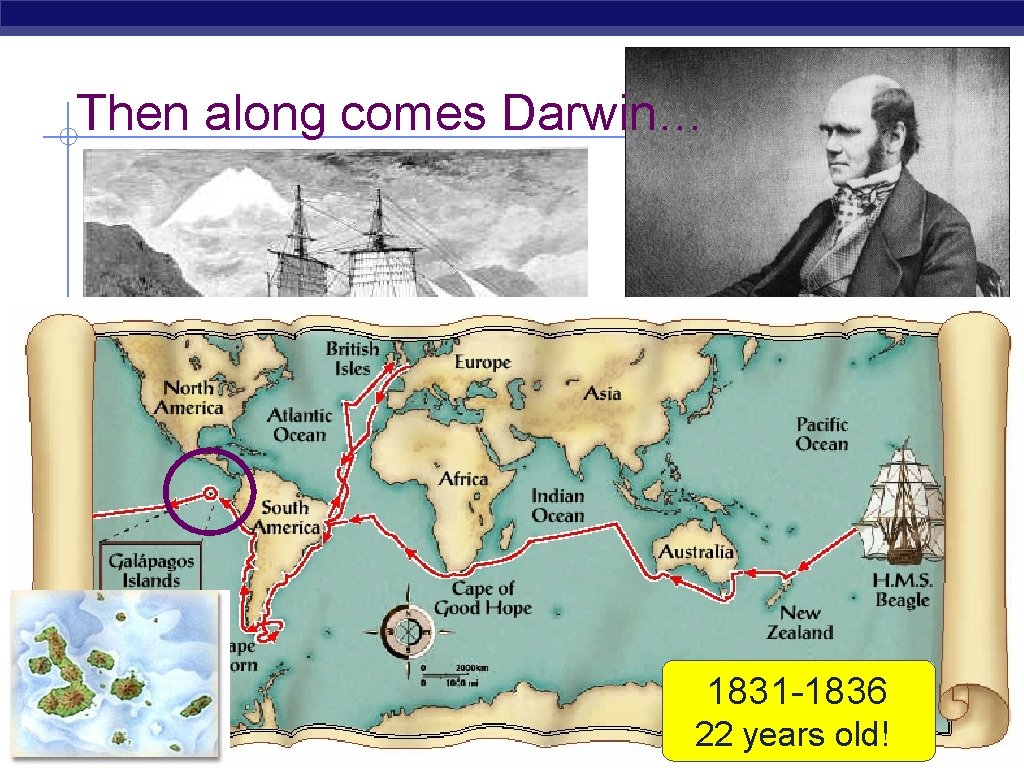 Then along comes Darwin… 1831 -1836 AP Biology 22 years old! 