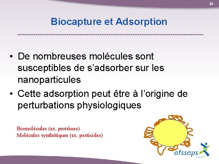 34 Biocapture et Adsorption • De nombreuses molécules sont susceptibles de s’adsorber sur les