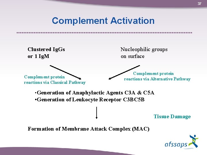 37 Complement Activation Clustered Ig. Gs or 1 Ig. M Complement protein reactions via