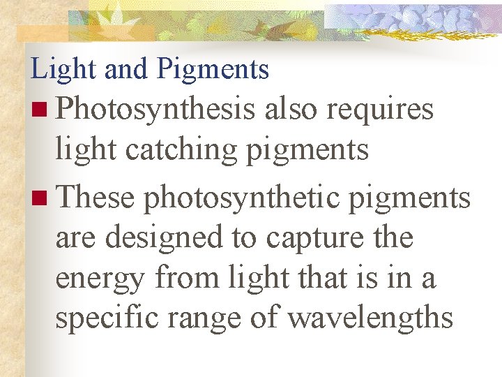 Light and Pigments n Photosynthesis also requires light catching pigments n These photosynthetic pigments