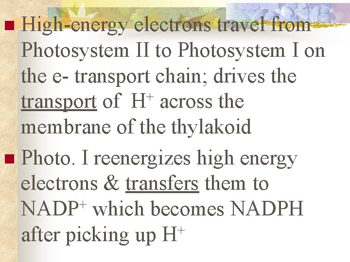 High-energy electrons travel from Photosystem II to Photosystem I on the e- transport chain;