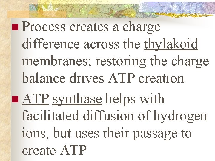 n Process creates a charge difference across the thylakoid membranes; restoring the charge balance