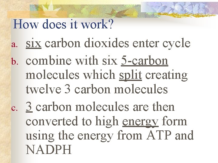 How does it work? a. six carbon dioxides enter cycle b. combine with six