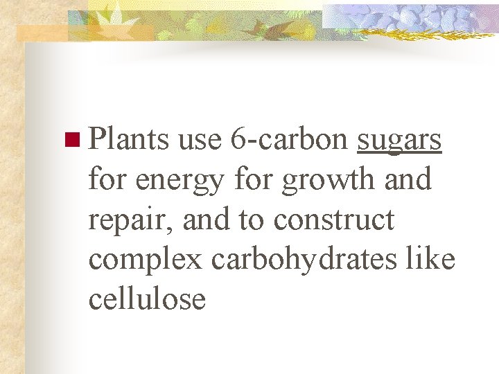 n Plants use 6 -carbon sugars for energy for growth and repair, and to