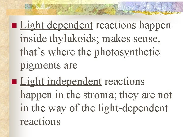 Light dependent reactions happen inside thylakoids; makes sense, that’s where the photosynthetic pigments are