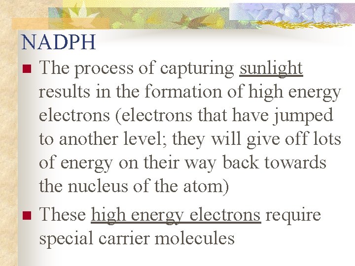 NADPH n n The process of capturing sunlight results in the formation of high